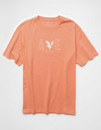 AE スタンダード・フィット ライトウェイト ロゴ グラフィック Tシャツ