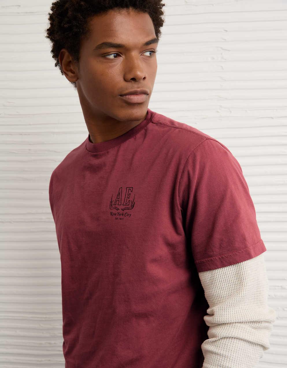 AE Standard Fit Logo Graphic T-Shirt